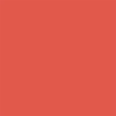 Renee Cosmetics Everyday Lip Gloss - 03 4.5 ml - Lip Glosses
