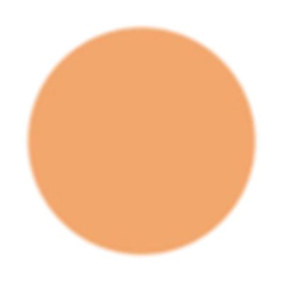 PAC Spotlight Liquid Concealer 09 Melon 15gm - Concealer