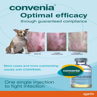 CONVENIA (VET) Injection 10ml - Veterinary-Pharma