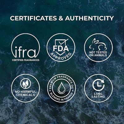 Nisara Ocean Rush Long Lasting Aromatic Fougere Fragrance Body Mist Spray Perfume for Men 200 ml - Hair Sprays & Mists