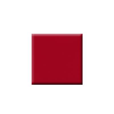 Colorbar Vegan Nail Lacquer-Forever Darling-005 8 ml - Nail Polish