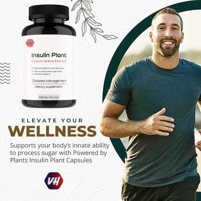 Vitaminhaat Insulin Plant Costus Lgeus Extract Capsules 60's - Vital Health