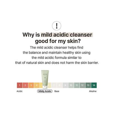 Mixsoon Master Gentle Recipe Foam Cleanser 150 ml - Face Wash & Cleansers