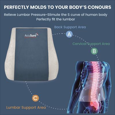AccuSure Back Rest Chair 1's - Back/Abdomen Supports