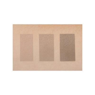 Peripera Ink V Shading 3 Hazel Gray 9.5 gm - Compact Powder