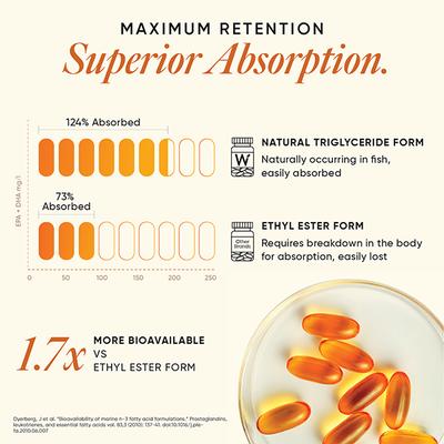 Wellbeing Nutrition slow triple strength Omega 3 fish oil with curcumin extract for brain, joint and heart - Omega Fish Oil Fatty Acids