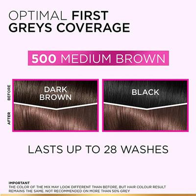 L'Oreal Paris Casting Creme Gloss Conditioning Color No Ammonia Shine Masque with Royal Jelly 500 Medium Brown 87.5gm+72ml 1's - Crème
