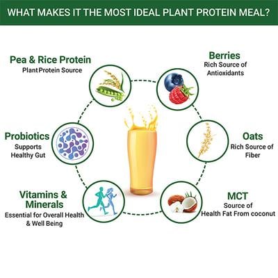 INLIFE Plant Based Meal Shake Powder - Mango 500 g - Weight Loss