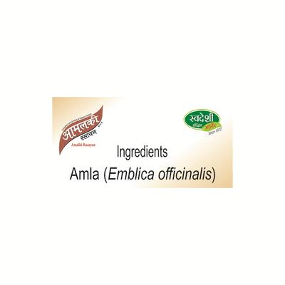 Swadeshi Amalki Rasayan Powder 100 gm - Speciality Medicines