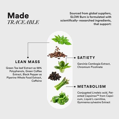 Wellbeing Nutrition Slow Burn with Capsimax Garcinia Chromium and Liquid L Carnitine Clinically Proven Supplement - Weight Loss