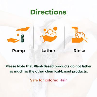 Organic Forest Hair Fall Control, Hair Thickening & Hair Growth Shampoo 200 ml - Shampoos