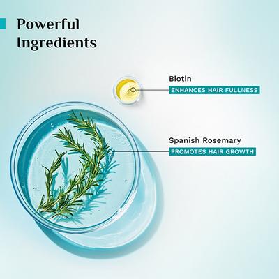 Pilgrim Spanish Rosemary Anti Hairfall Hair Mask 200 gm - Hair Masks & Packs