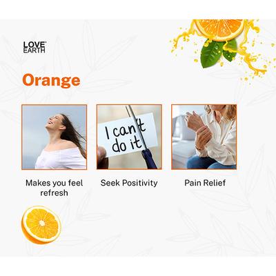 Love Earth Premium Reed Diffuser Orange with Orange Essential Oil 30 ml - Air Fresheners