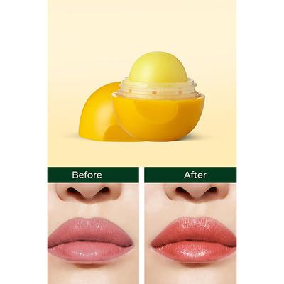 Organic Harvest Shea Butter Lip Balm 8 gm - Lip Balms