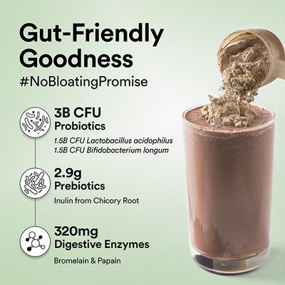 Wellbeing Nutrition Superfood Plant Protein Powder - Italian Cafe Mocha 500 gm - Protein Drink