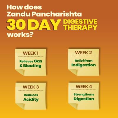 Zandu Pancharishta Digestive Tonic 450 ml - Digestive Care