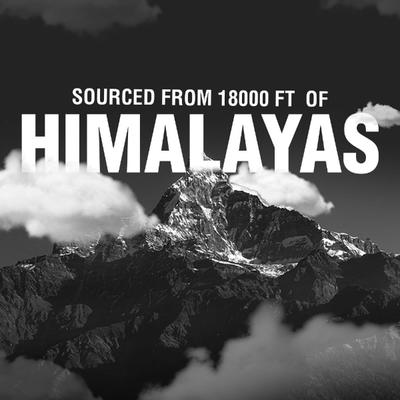 Bargad Himalayan Shilajit Honey Sticks - Dark Chocolate Flavour 30's - Speciality Medicines