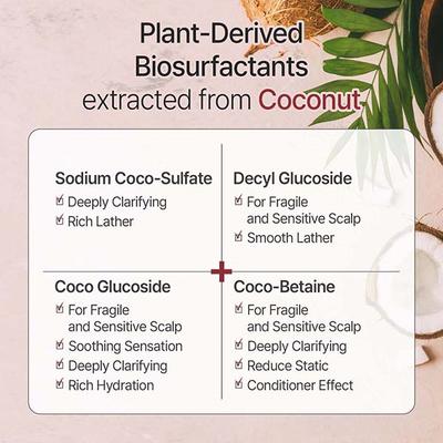 Kundal Caffeine Scalp Shampoo Cherry Blossom 500 ml - Shampoos