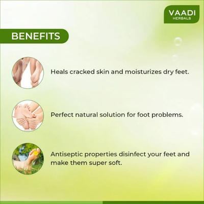 Vaadi Herbals Foot Cream - Clove Oil & Sandalwood 150 gm - Foot Creams & Lotions