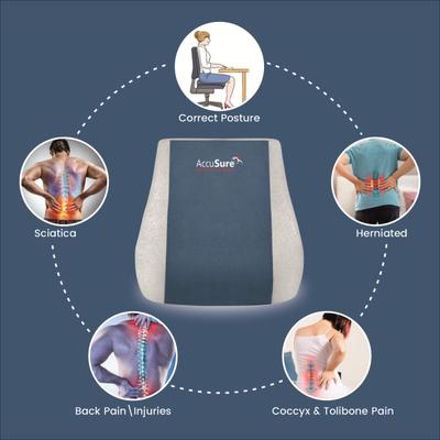 AccuSure Back Rest Chair 1's - Back/Abdomen Supports
