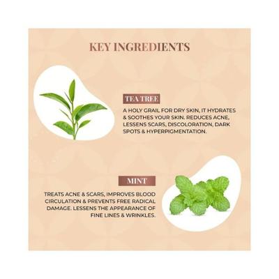 Just Herbs Tea Tree Mint Acne Foaming Face Wash for Acne & Anti Acne Mention 100ml - Scrubs & Exfoliants