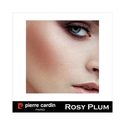 Pierre Cardin Parisporcelain Edition Blush On 860 Rosy Plum 13 gm - Blushes