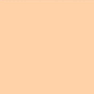 Pac Spotlight Liquid Foundation (10 Beach Buff) 40ml - Foundation