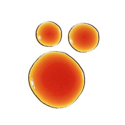 The Ordinary Pycnogenol 5% 15 ml - Face Serum