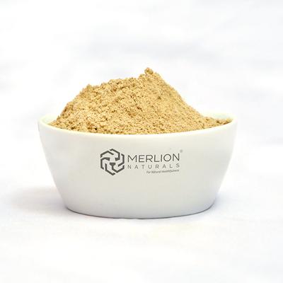 Merlion Naturals Organic Amla Powder 100 gm - Face Packs