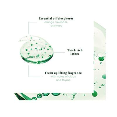 Rene Furterer Forticea Energizing Shampoo 250 ml - Shampoos