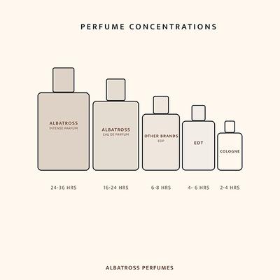 Albatross Discovery Set Eau De Parfum 10ml each 8's - Perfumes (Edt/Edp)