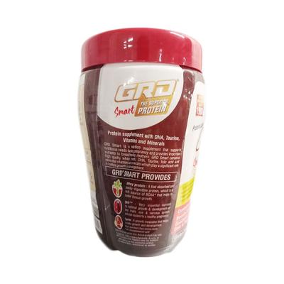 GRD SMART THE SUPERIOR PROTEIN CHOCOLATE FLAVOUR Powder 200gm - Supplements-Vam