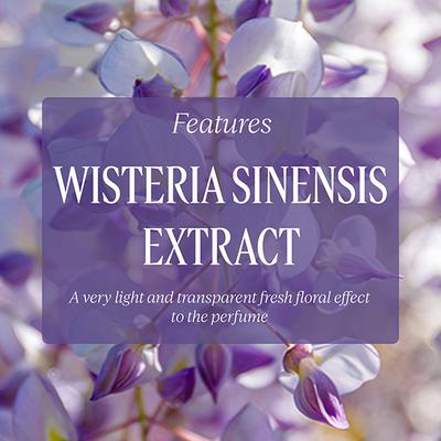 Loccitane Glycine Hand Cream 30 ml - Hand Creams