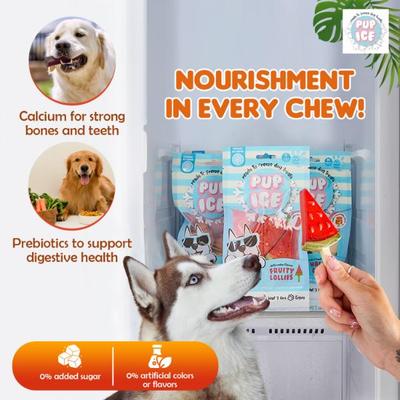 Pup Ice Fruity Lollies Watermelon 90 g - Petfood