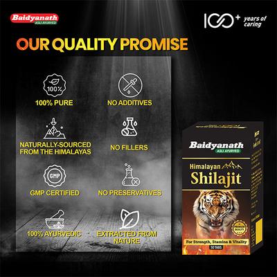 Baidyanath Himalayan Shilajit Tablet 50's - Sexual Healthcare