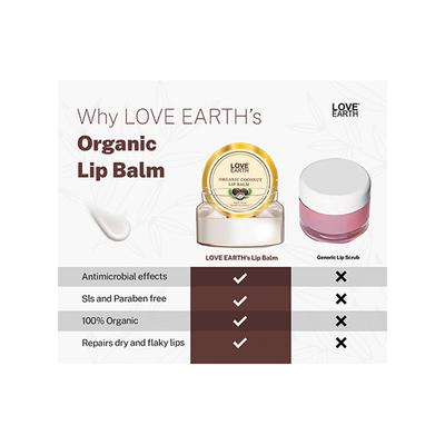 Love Earth Coconut Lip Balm for Dry & Chapped Lips, An Ayurvedic Lip Moisturizer with Vitamin E 10 gm - Lip Balms
