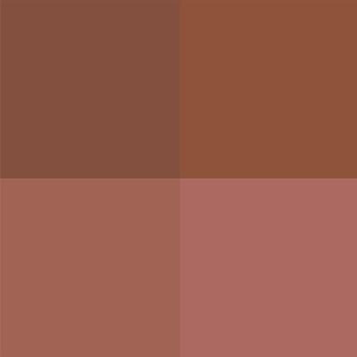 Matt Look Power Stay Matte Liquid Lipstick in 4 Sensational Colors with Transferproof & Nude Spice 10 ml - Liquid Lipsticks