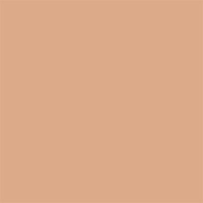 Renee Cosmetics Face Base Serum Foundation - 08 Posh 20 ml - Foundation