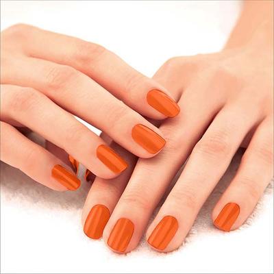 Lakme Absolute Gel Stylist Nail Color 99 Pumpkin 12 ml - Nail Polish