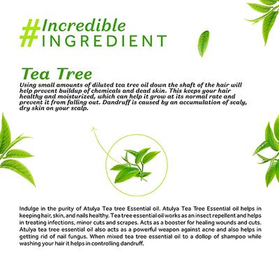 Atulya Tea Tree Essential Oil 15 ml - Hair Lotions & Tonics