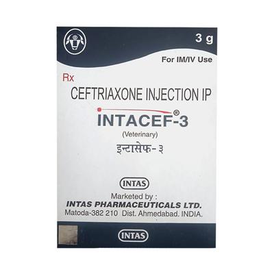 INTACEF 3 (VET) Injection 1's - Antibiotic-Far