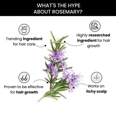 Thriveco Rosemary Essential Oil 15 ml - Essential Oils