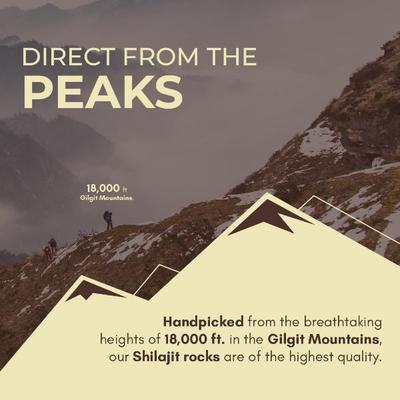 Rasayanam Pure Shilajit Resin 20 g - General Health