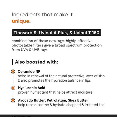 Minimalist SPF 30 Lip Balm with Ceramides & HA for lip protection & nourishment 8 gm - Lip Balms