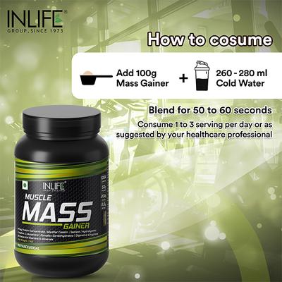 INLIFE Muscle Mass Gainer with Whey Protein Powder Chocolate Flavor 1 kg - Whey Proteins