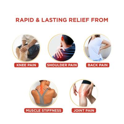 Ban Labs Rhue Strong Pain Relief Oil 100 ml - Speciality Medicines