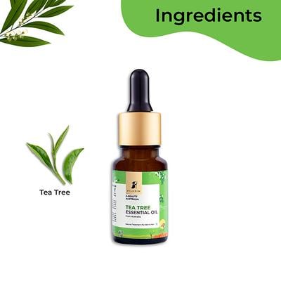 Pilgrim Tea Tree Essential Oil 10 ml - Essential Oils