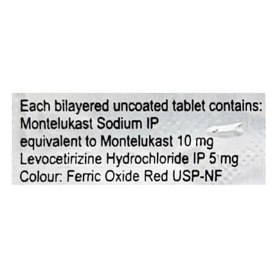 Rinosolvin Tablet 10's - Allergies-Ant