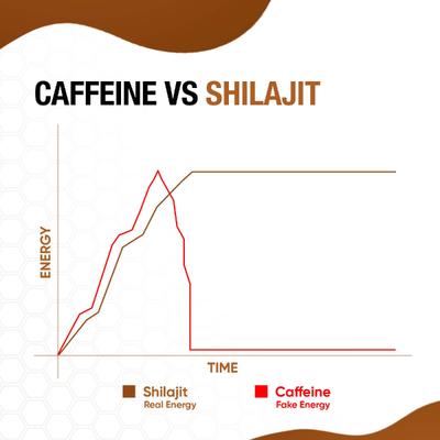 Bargad Himalayan Shilajit Honey Sticks - Caramel Flavour 30's - Speciality Medicines