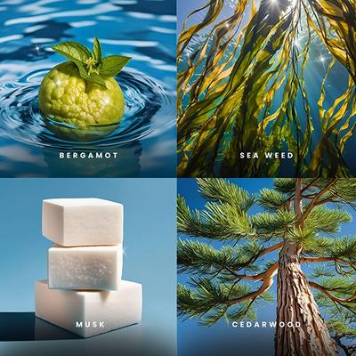 Albatross - Wavesong Eau De Parfum 100 ml - Perfumes (Edt/Edp)